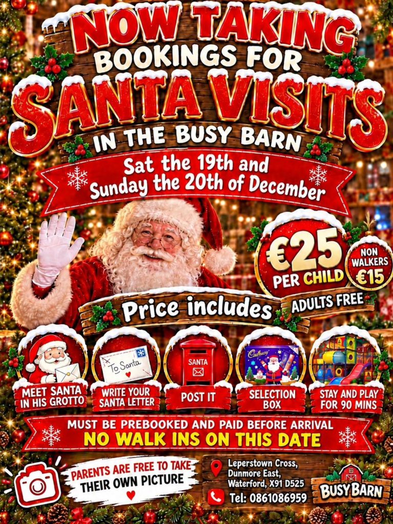 Santa at Busy Barn Mini Farm
